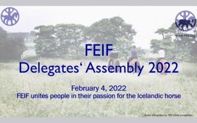 FEIF Küldöttek Gyűlése 2022