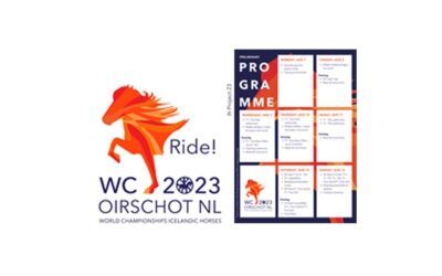 2023 Világbajnokság, Elődöntő beosztás