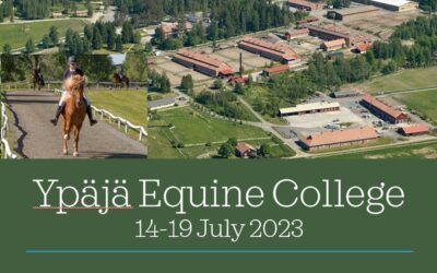 19. Ifjúsági Tábor 2023