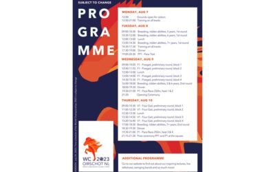 A frissített verseny program online elérhető