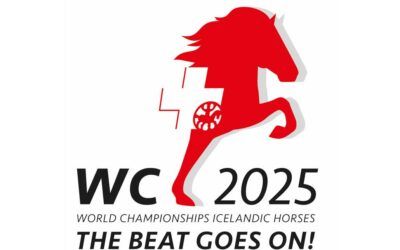 Világbajnokság 2025