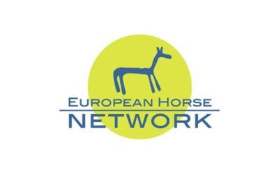 EHN Hírlevél 2024. január