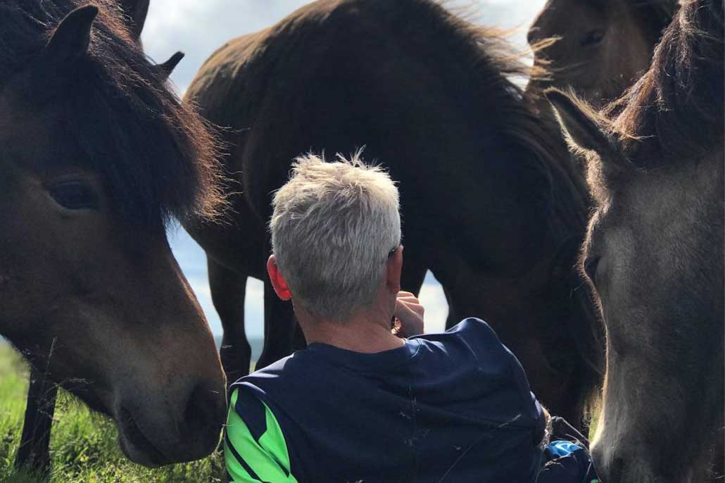 FEIF Ló jólét és SLO találkozó