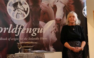 Az Izlandi Ló Történeti Központ idén nyáron ismét megnyitja kapuit
