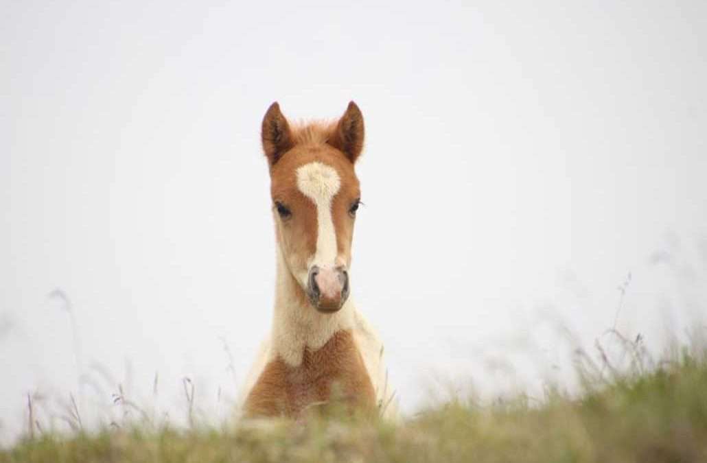 Szeretnél a Fiatalok Bizottságának tagja lenni?