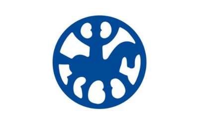 Világbajnokság 2025