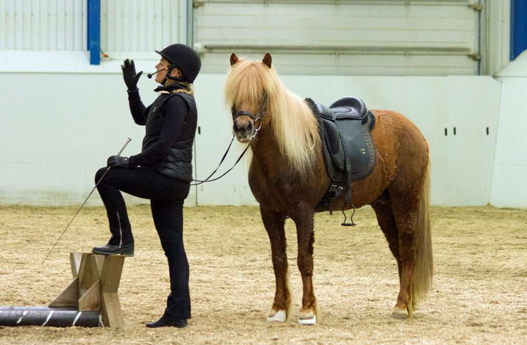 FEIF és LH Oktatási Szeminárium Izlandon, 2026. szeptember