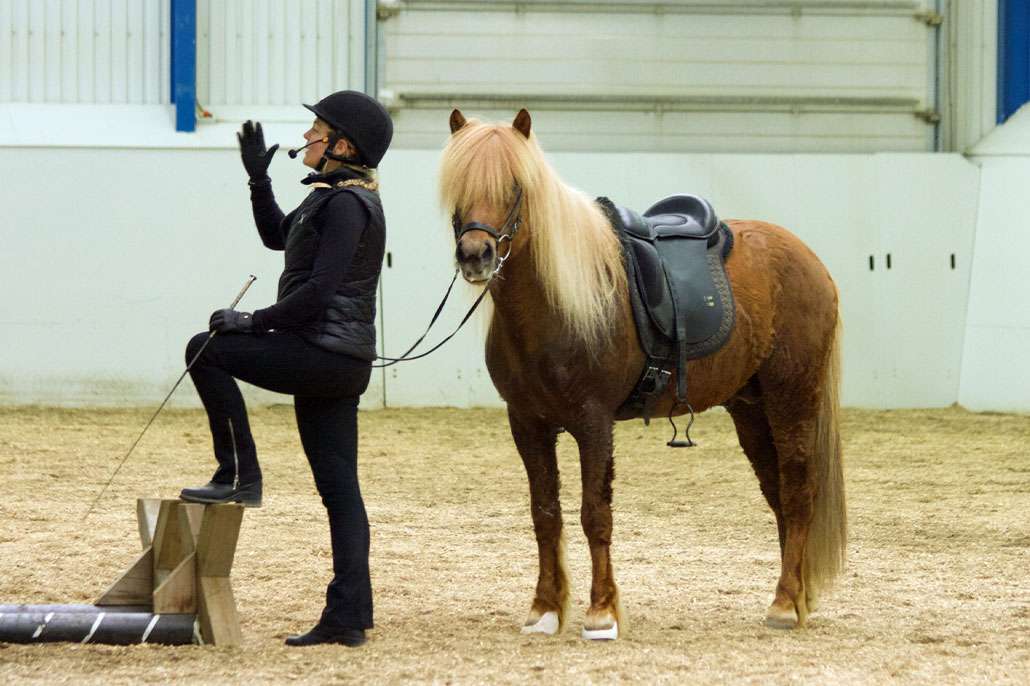 FEIF és LH Oktatási Szeminárium Izlandon, 2026. szeptember